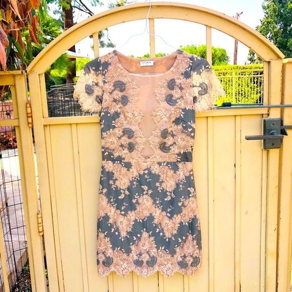 Offers Welcome:) Pristine Storia Lace Mini Dress - Picture 4 of 10